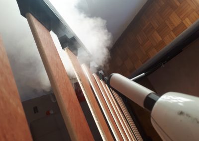 trattamenti professionali da cimice da letto